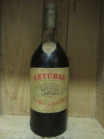 Moscatel Setubal Jose Maria Fonseca 6 Anos jmf 1